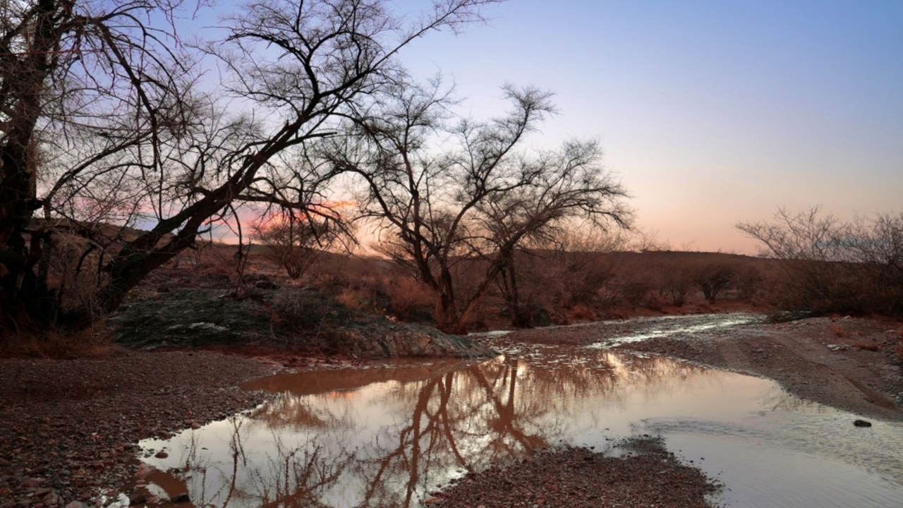 تحذير لمناطق واسعة.. خرائط الأمطار والضباب توضح حالة الطقس المتوقعة بمناطق المرتفعات
